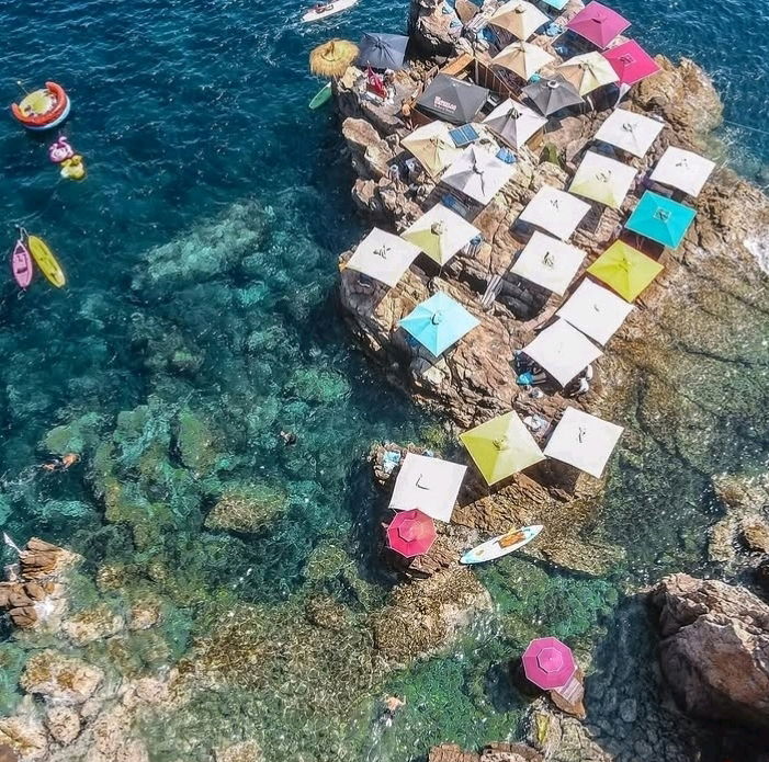 🏖️😎🎶🇹🇳