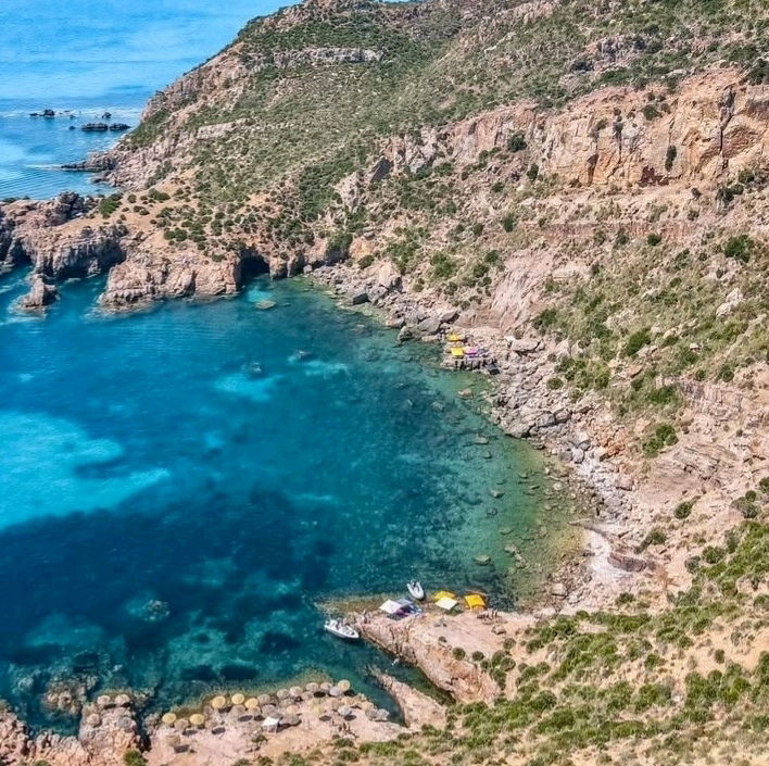 🏖️😎🎶🇹🇳