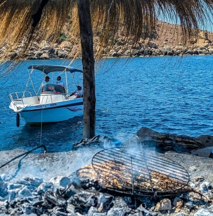 🏖️😎🎶🇹🇳
