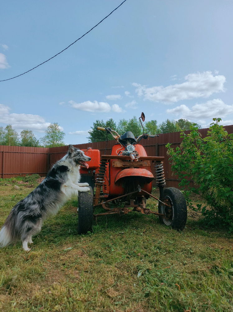 помощник 🤗