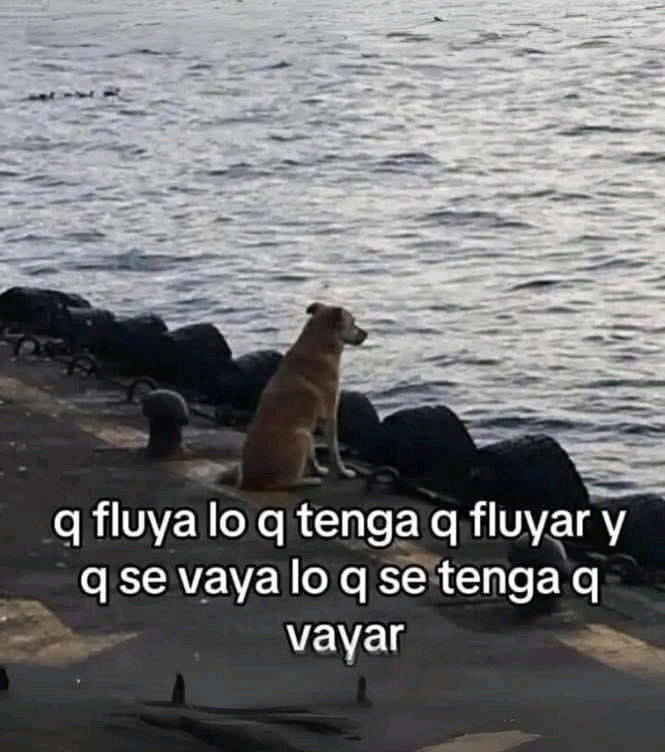 🤭🤣