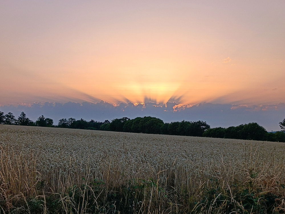 Les cieux du soir