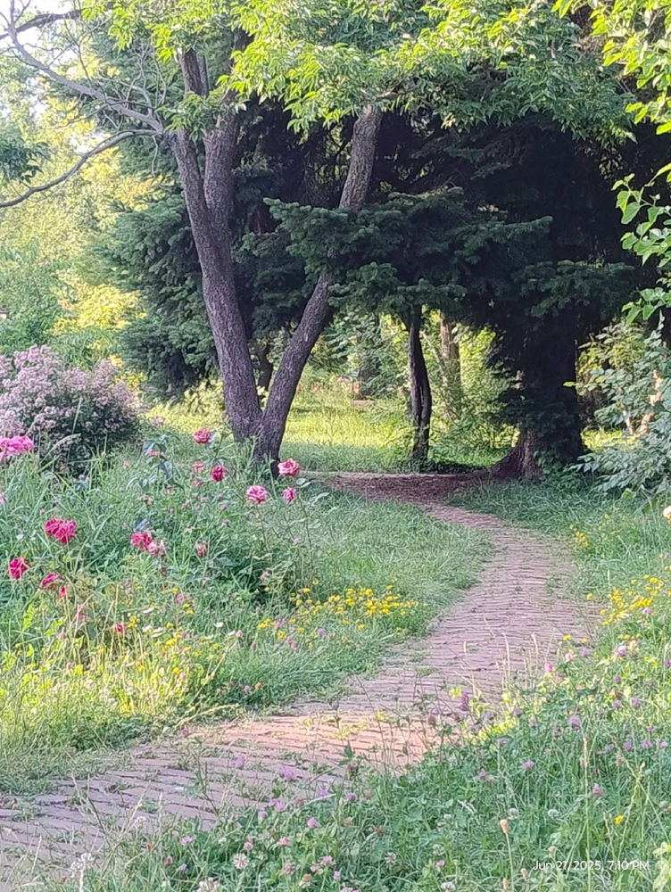 trezirea în conștiință
