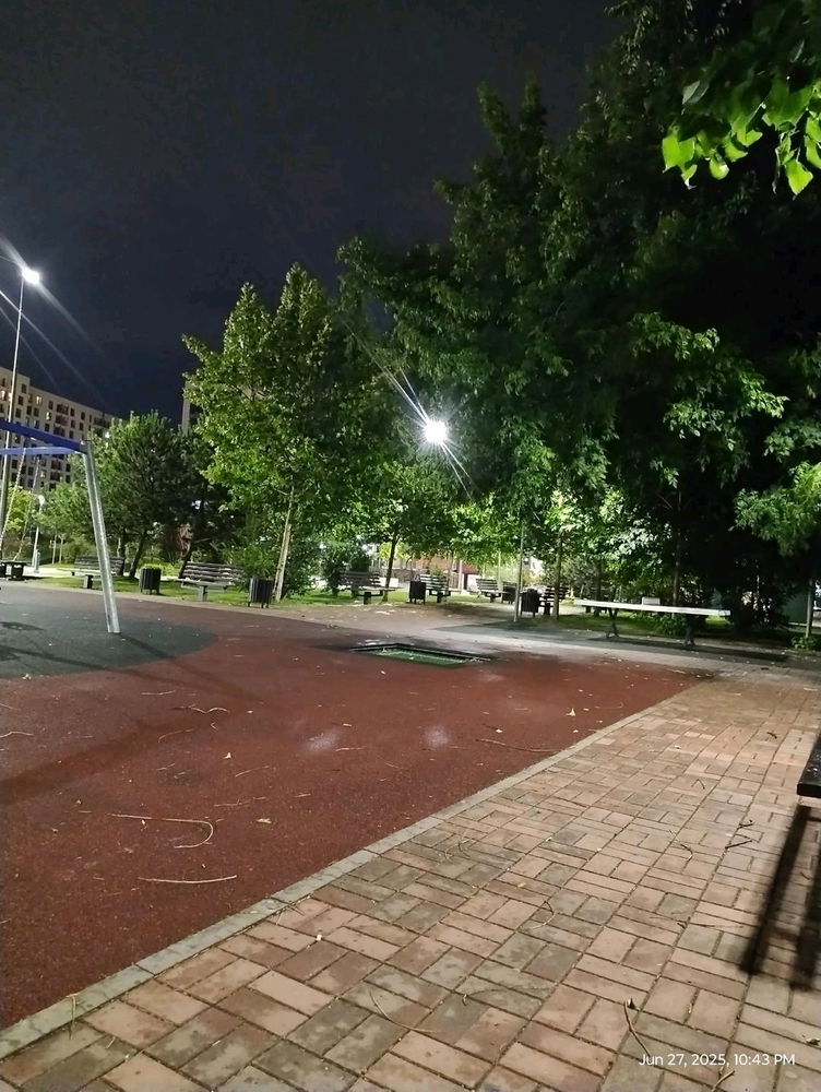 trezirea în conștiință
