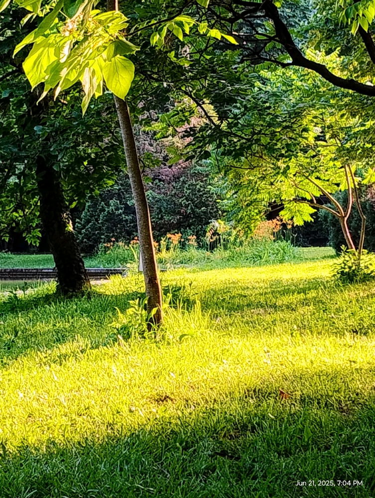 trezirea în conștiință