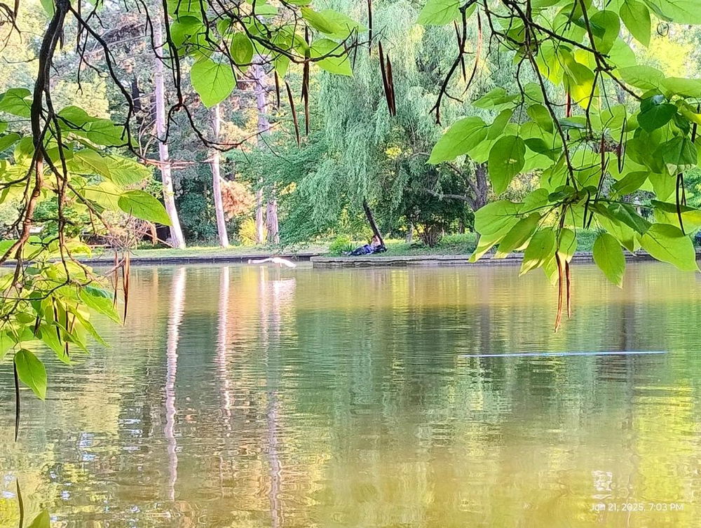 trezirea în conștiință