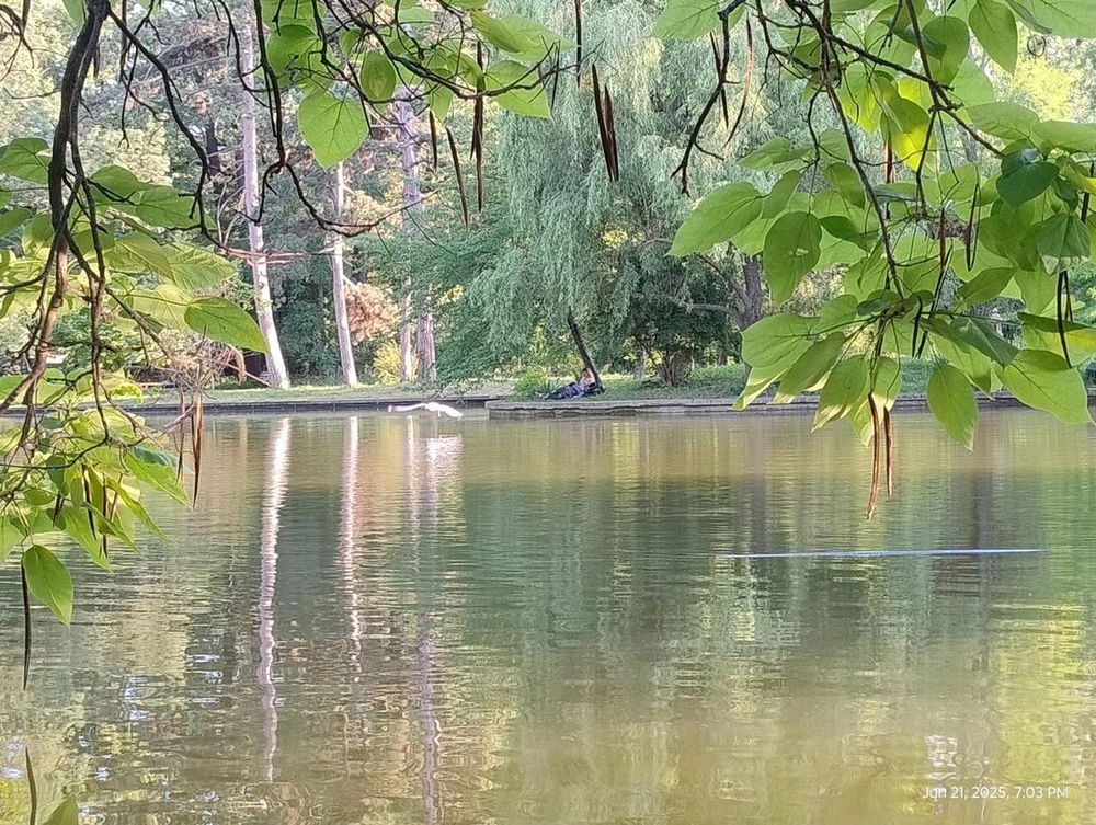 trezirea în conștiință