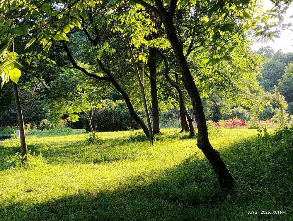 trezirea în conștiință