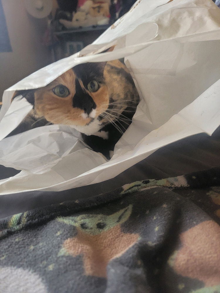 BAG LADY