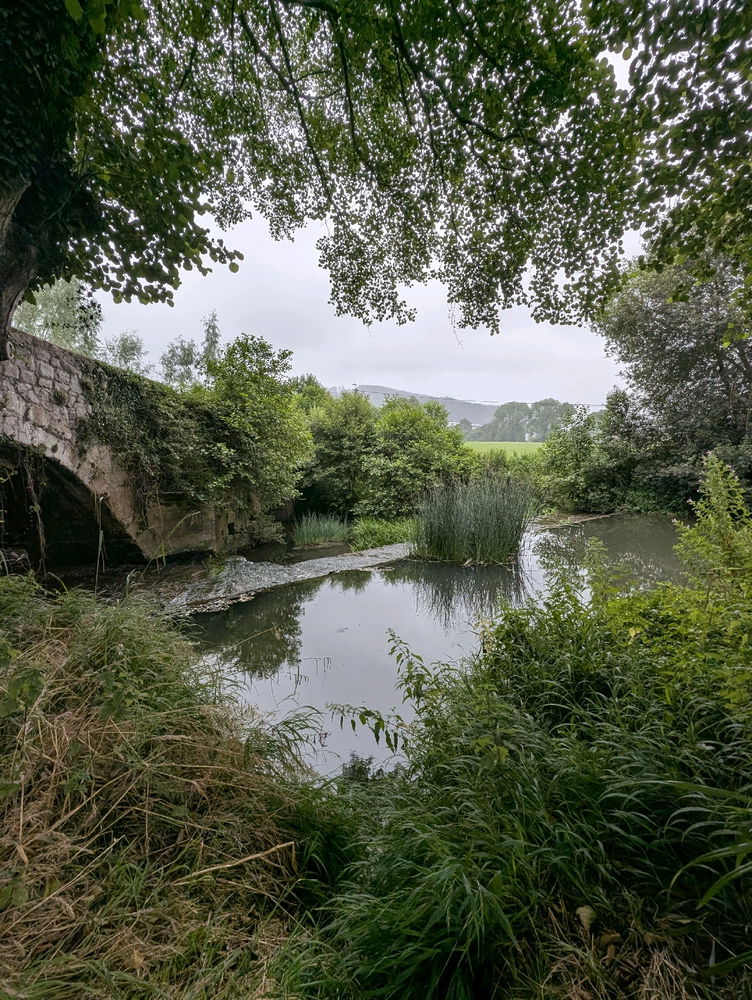 El magico regno de Cantabria