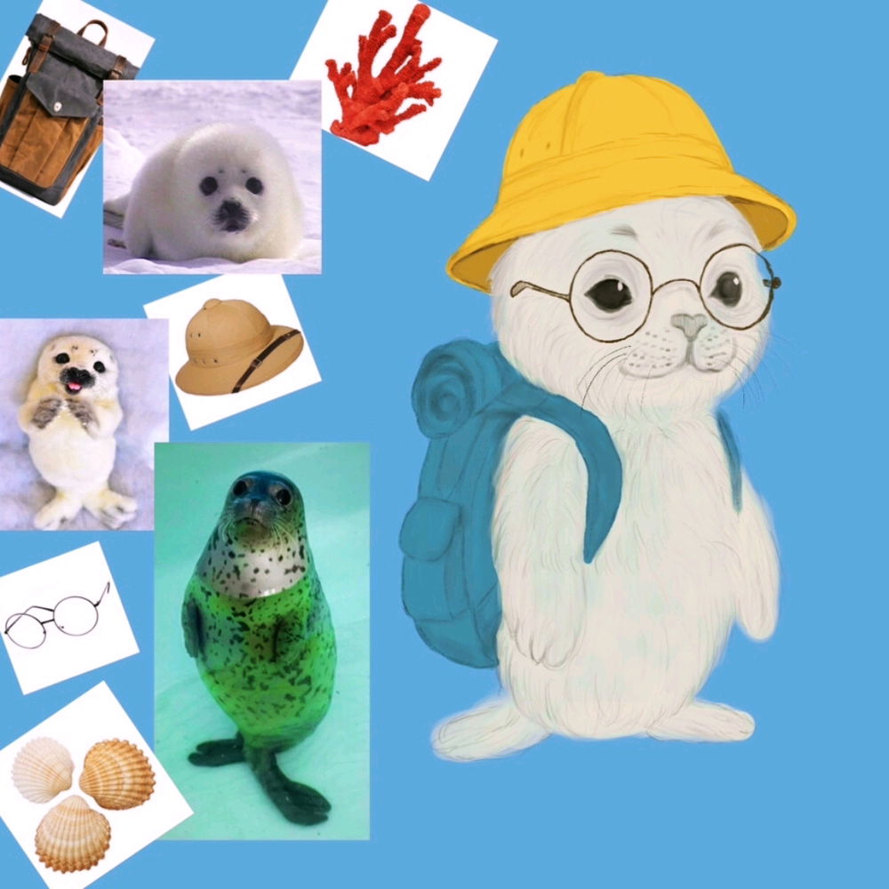 Foquita viajera