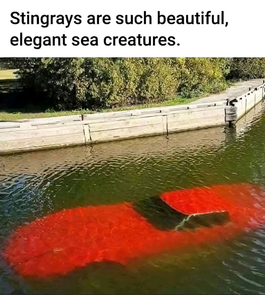 🚘🚗