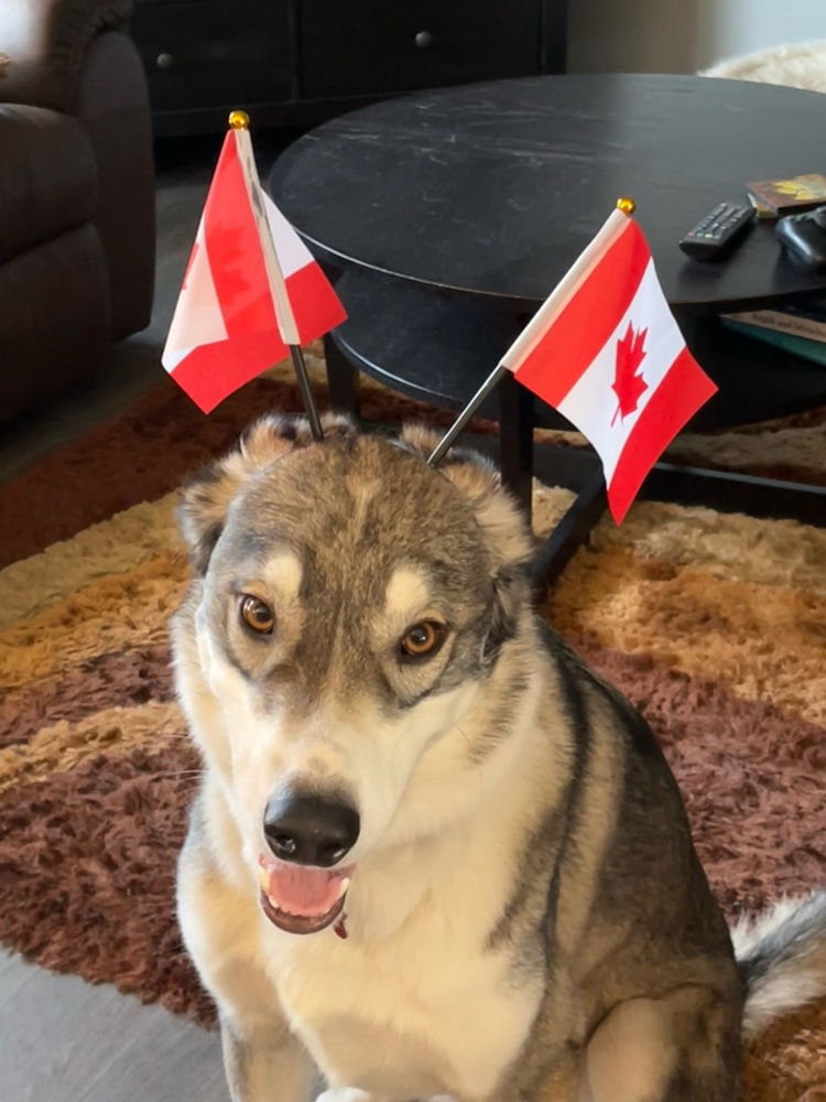 Happy Canada Day