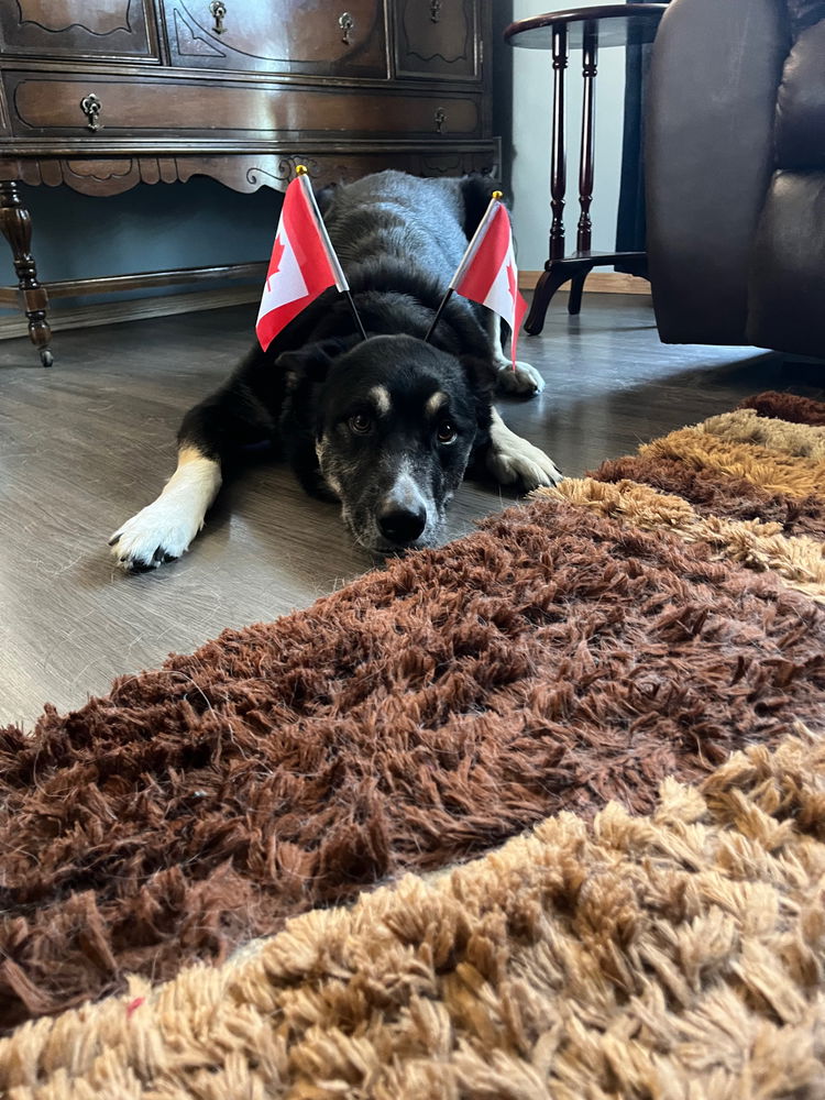 Happy Canada Day