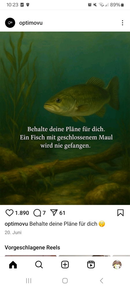 Mache es wie der Fisch...