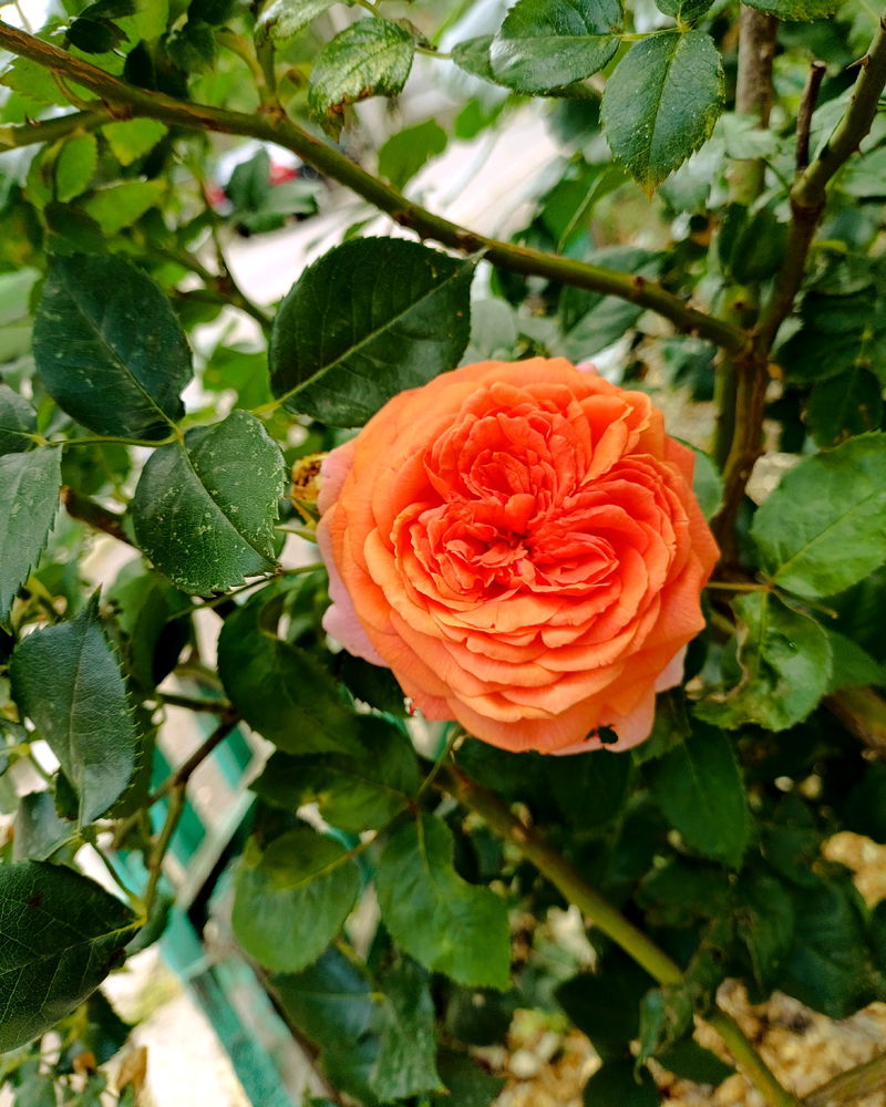 2 липня в моментах 💫