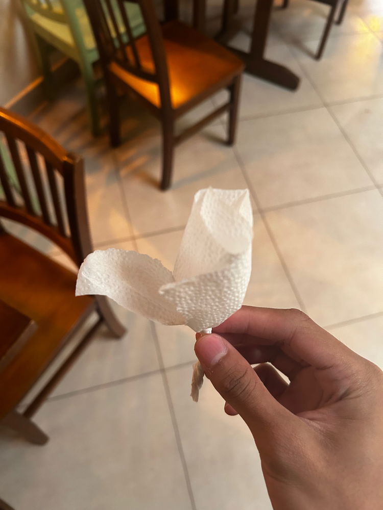 Frô de papel