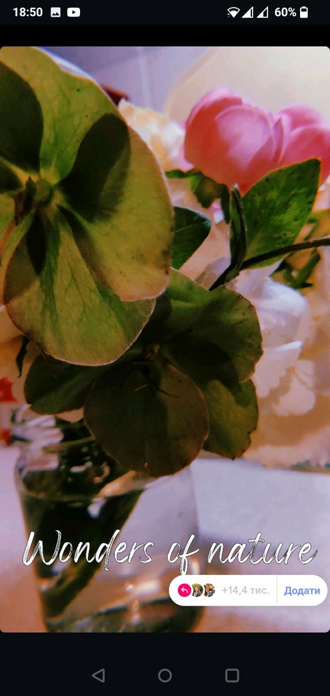 ✨