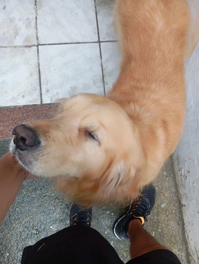 Dudu ❤️