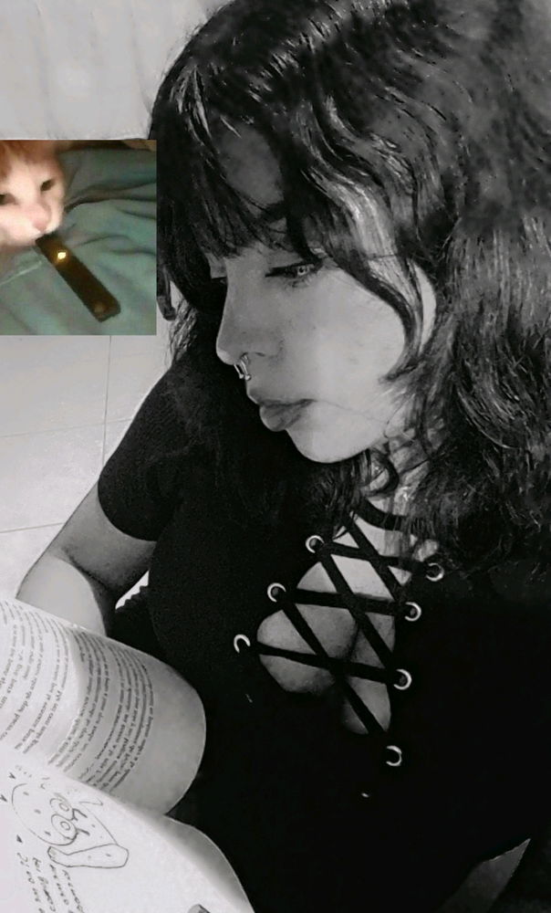 Libros
