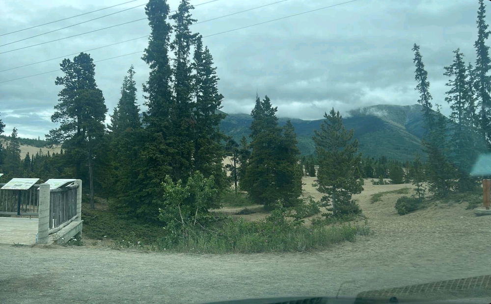 I love having international friends...
I get pictures like this 🥰🕊

Please send a picture of your town, you like 🙏🏼