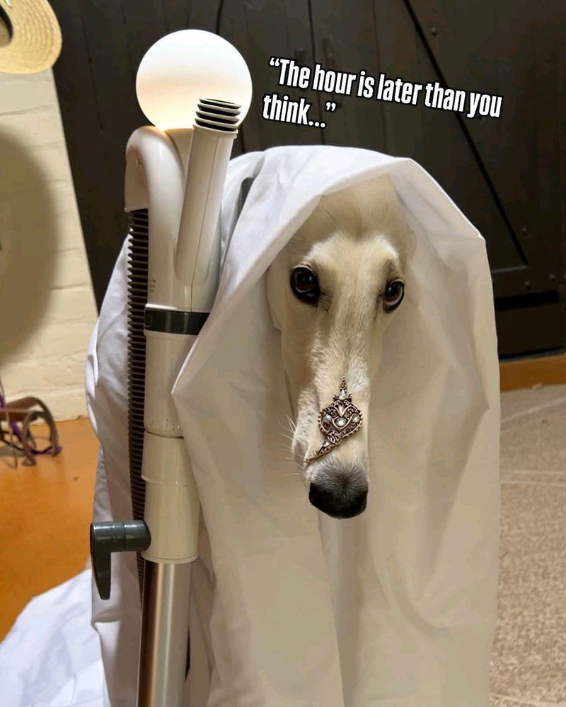 Esperborzoi