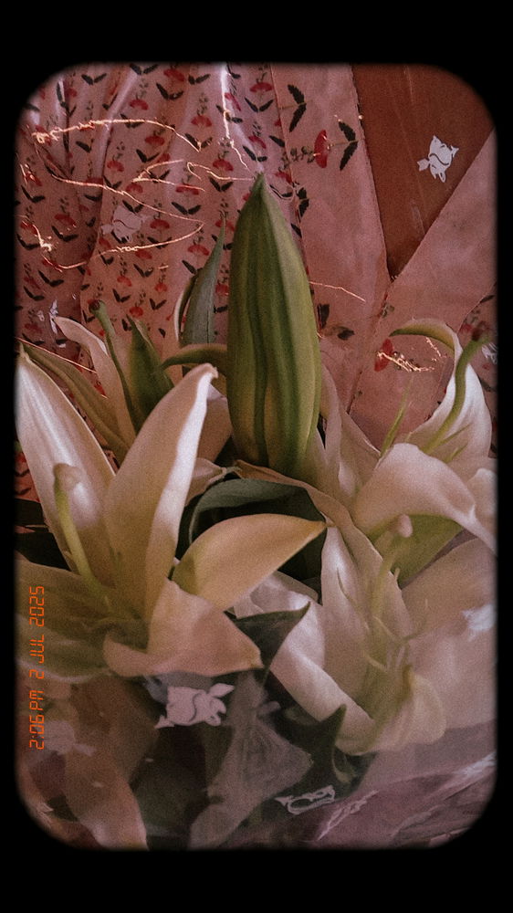 Lilies 💐