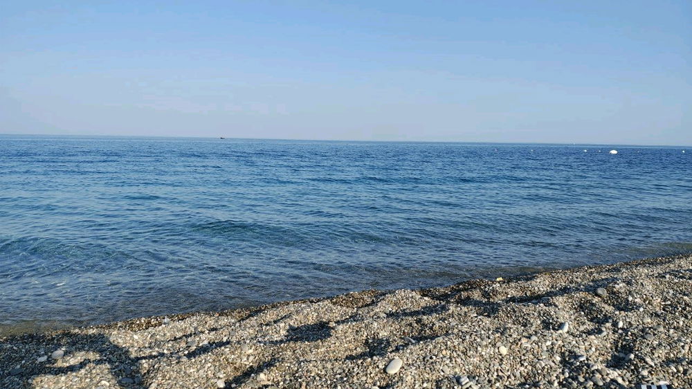 Mare