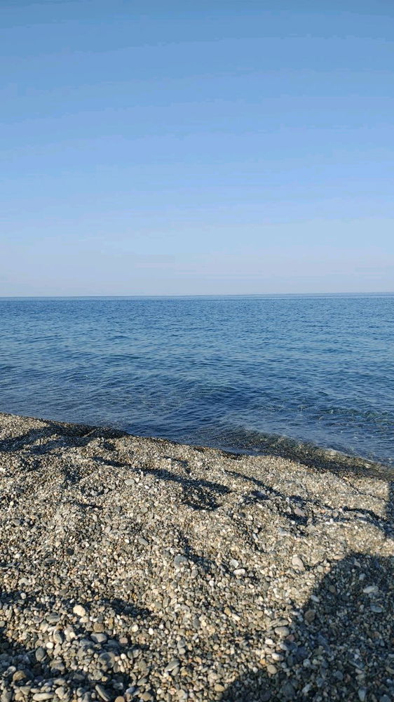 Mare