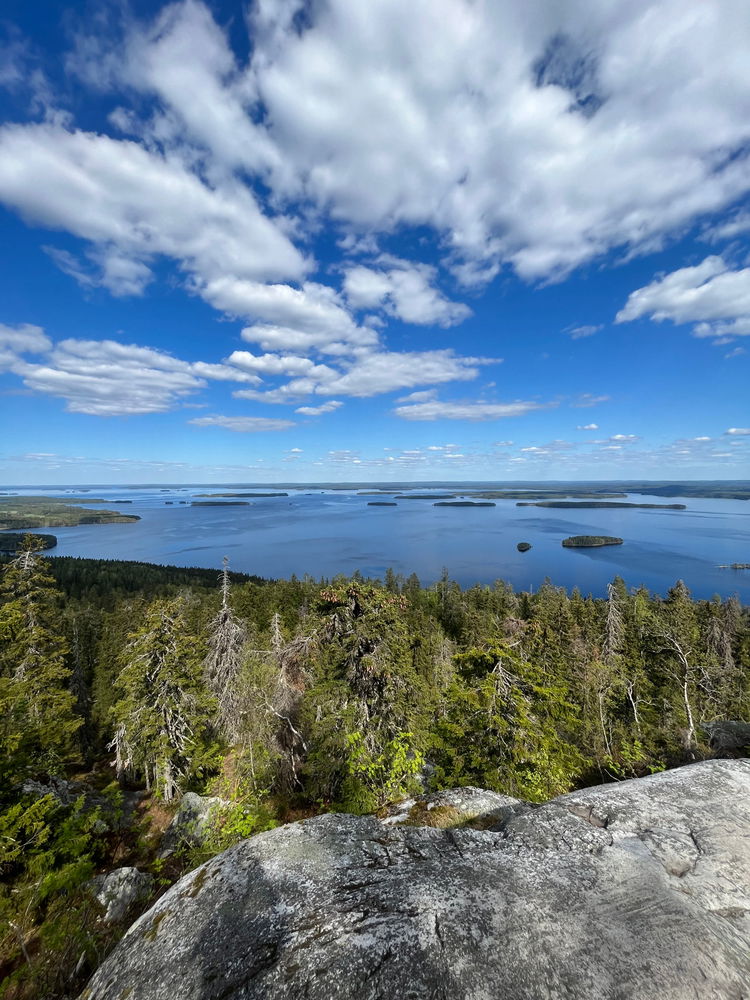 🇫🇮