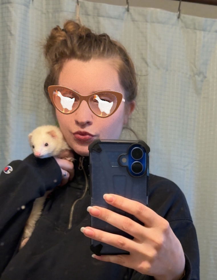 🐾Ferret fun Time🐾