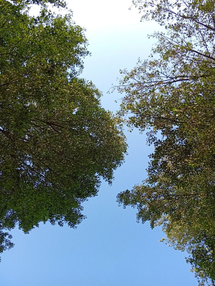 On profite, on se détend
