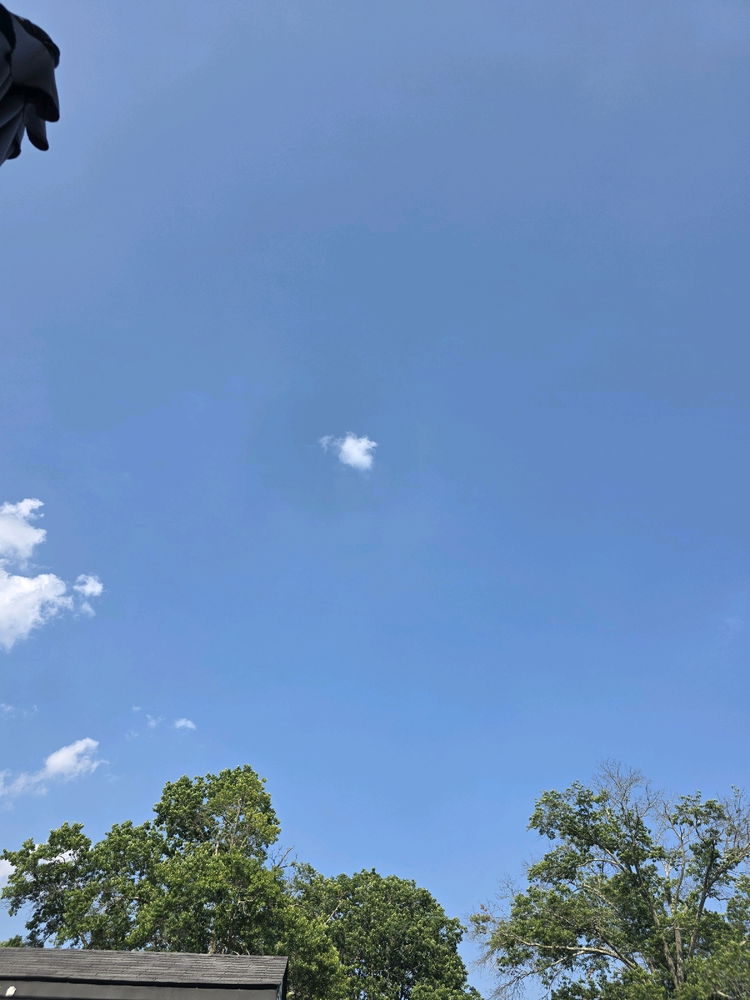 Beautiful Day Out