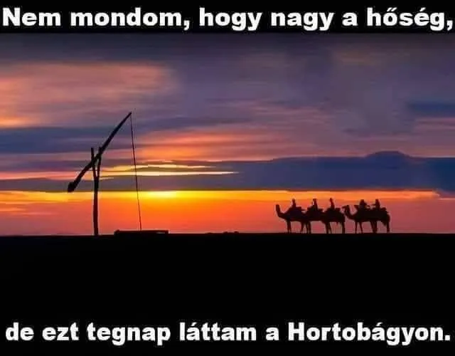 XDDDDDD