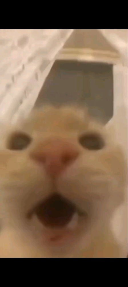 Ayo berteman