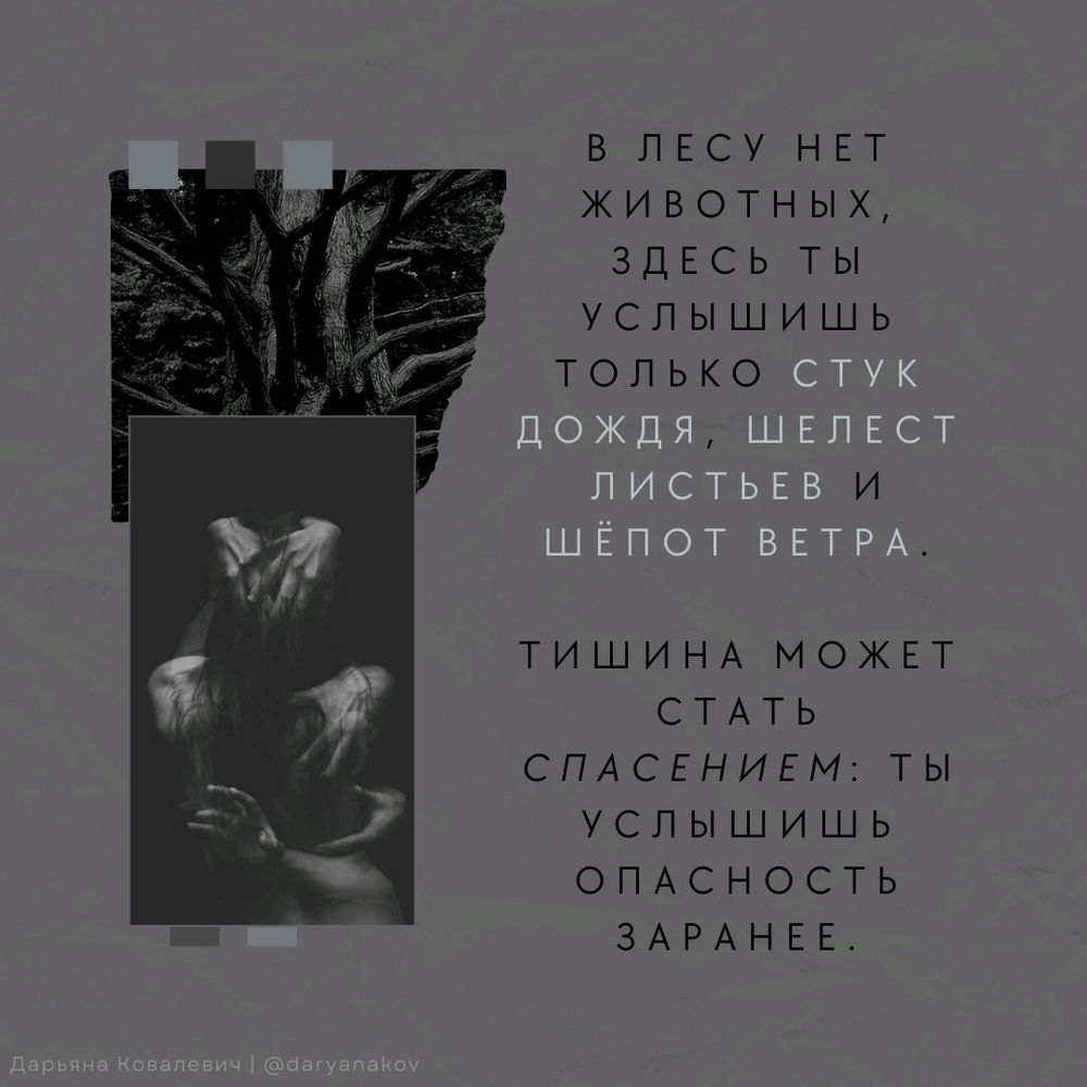 Лес 🖤🍁