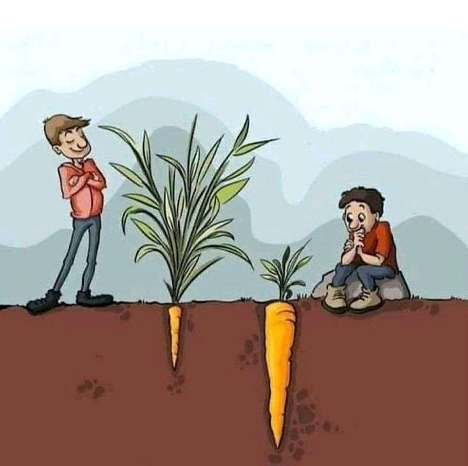 Ne vous fiez jamais aux apparences, la vraie valeur est souvent invisible.