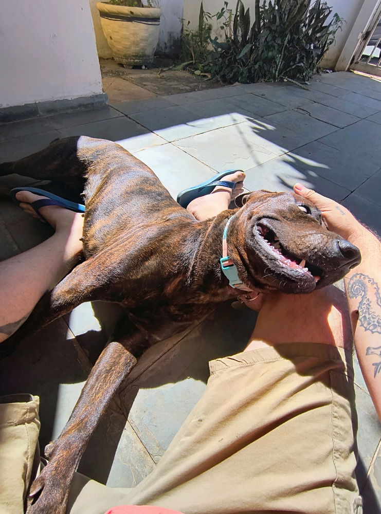 🐕