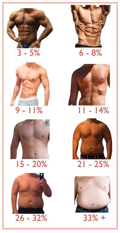 Question of the Day: What do you consider the ideal body fat percentage?