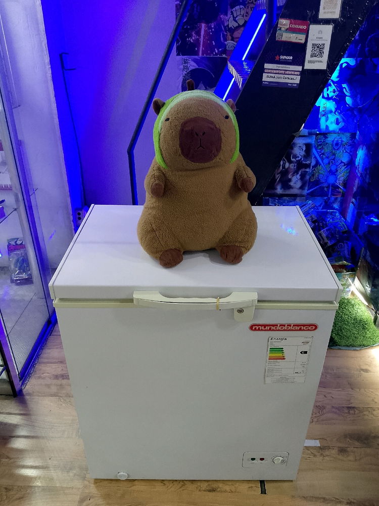 Les gustan los capibaras tengo el mío