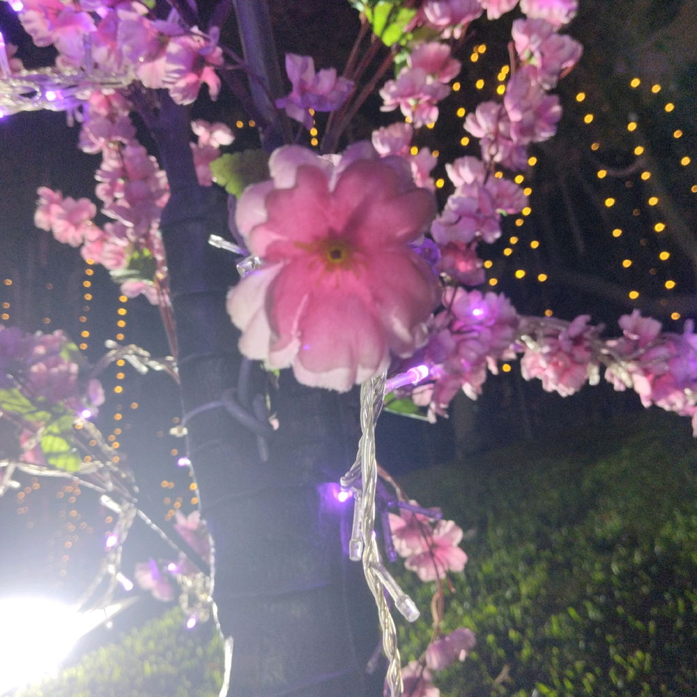 🌸