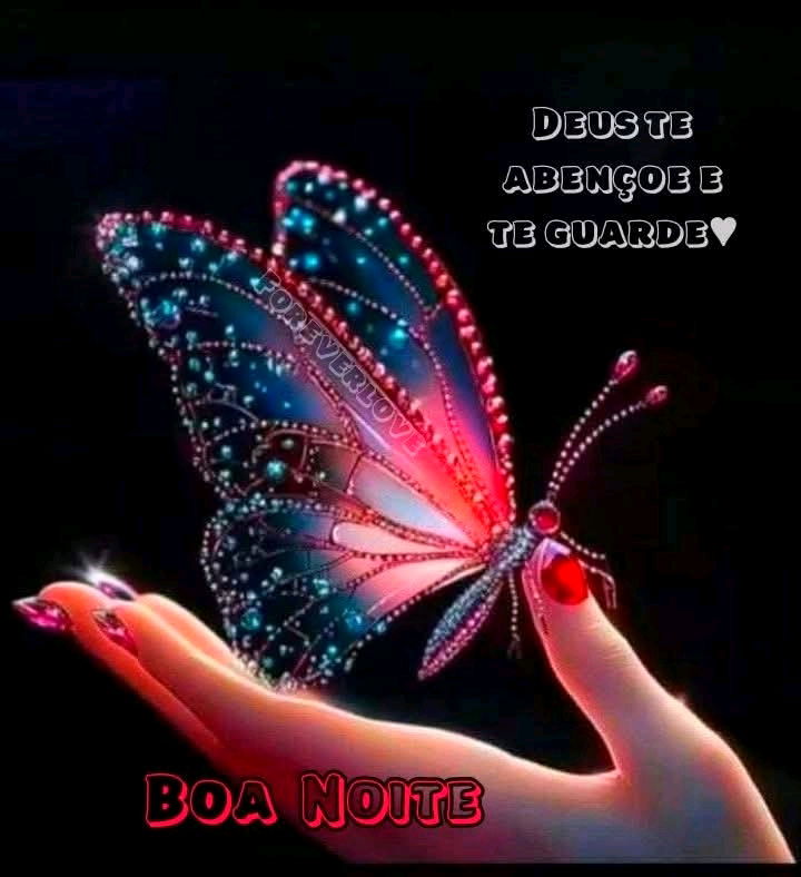 Boa Noite 🌙