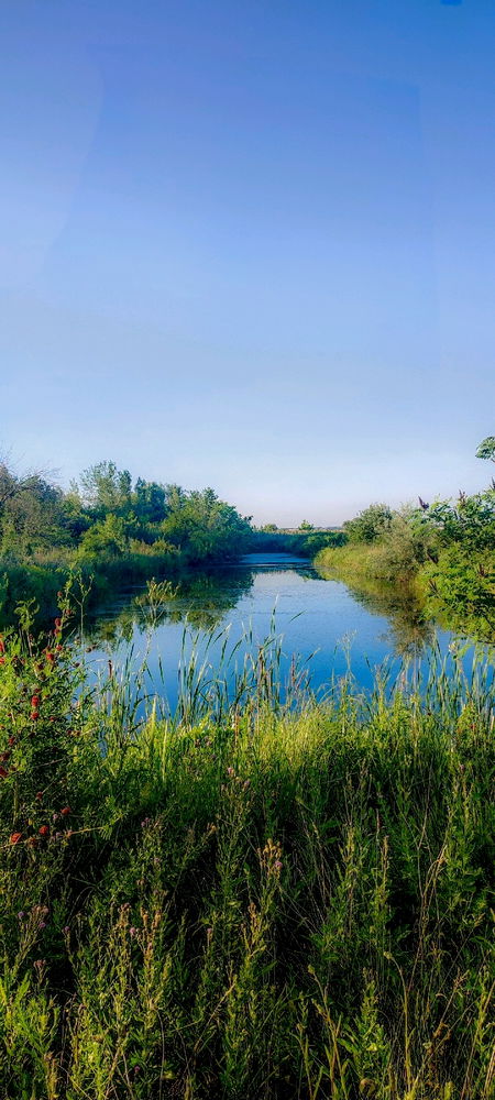 Занесло же опять в дебри🥰Но мне нравится 💃