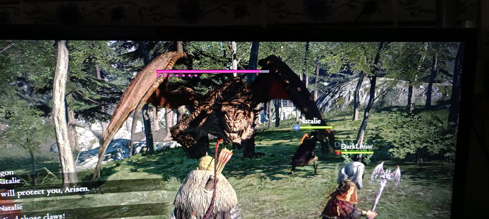 Dragon