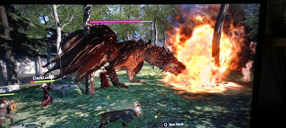 Dragon