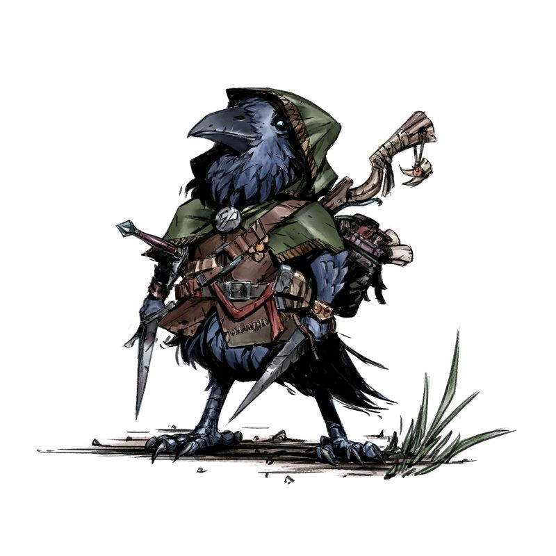 D&D