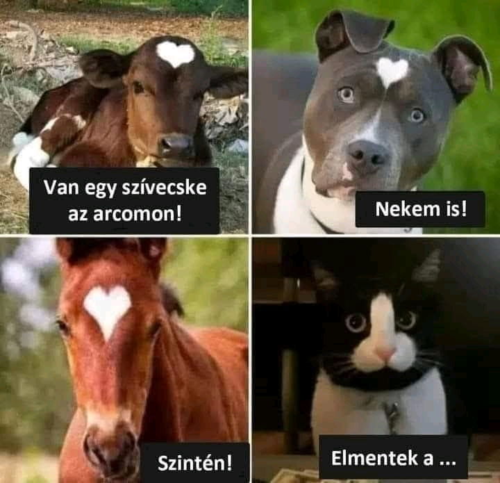 😁