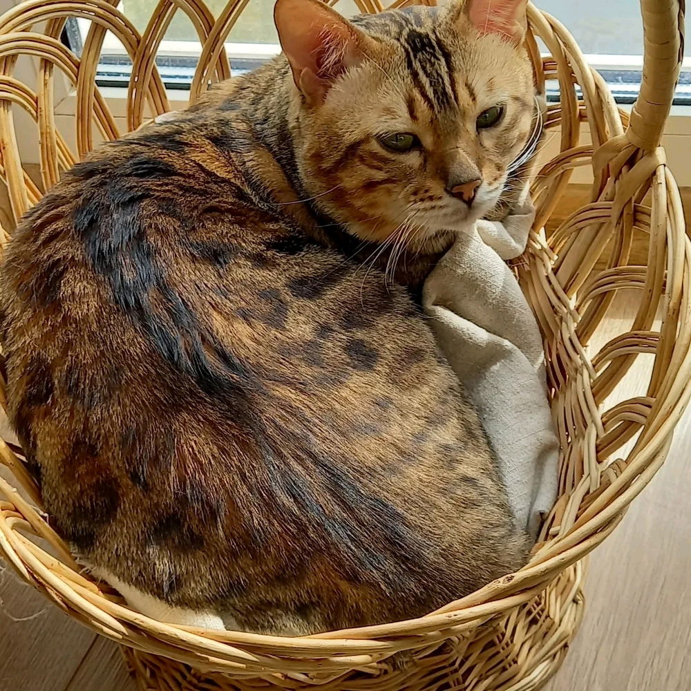 Відпочиваєм🤗😸