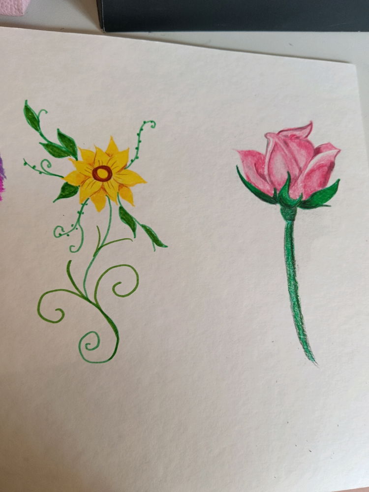Otmai addetta al disegno fiori