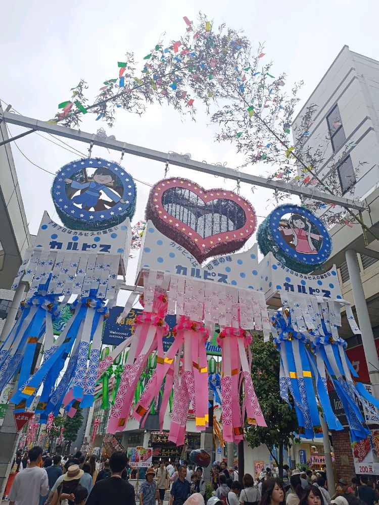 Tanabata Festival 🎋